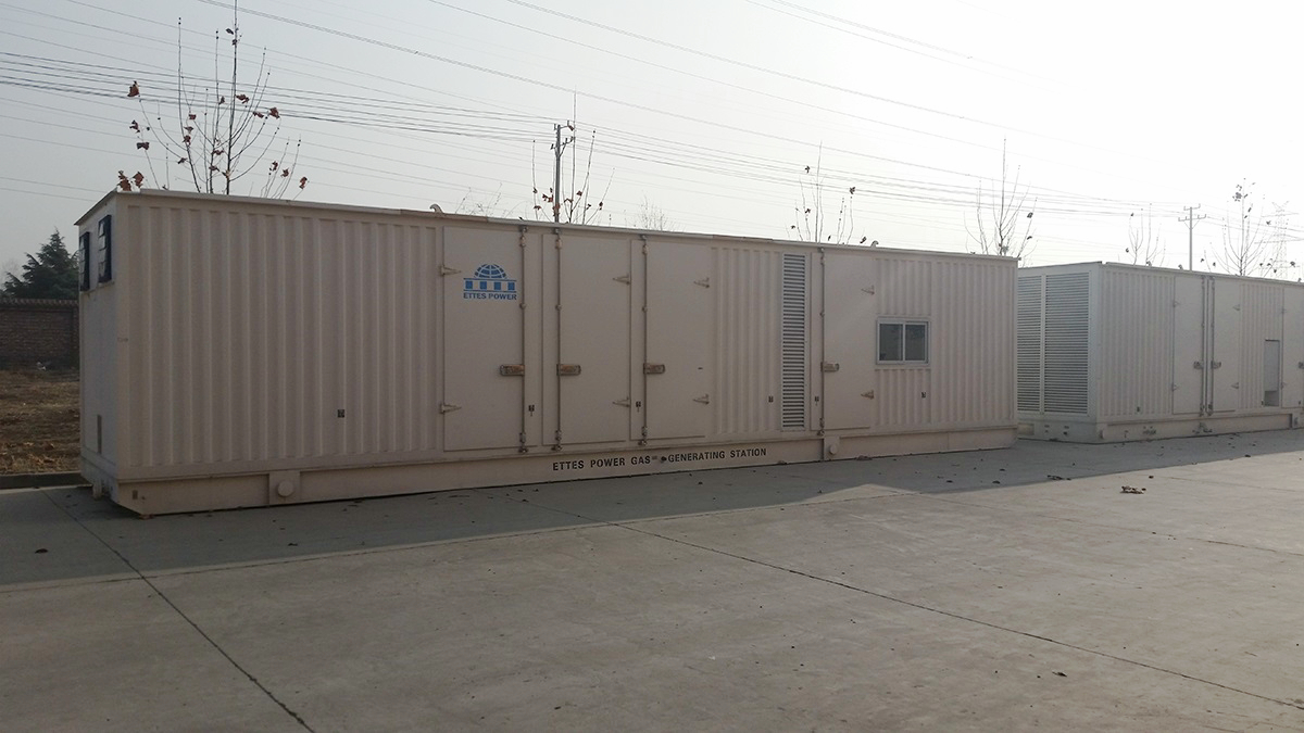 Ettes Power 1000KW Container Gas Engine Generator 6.3KV