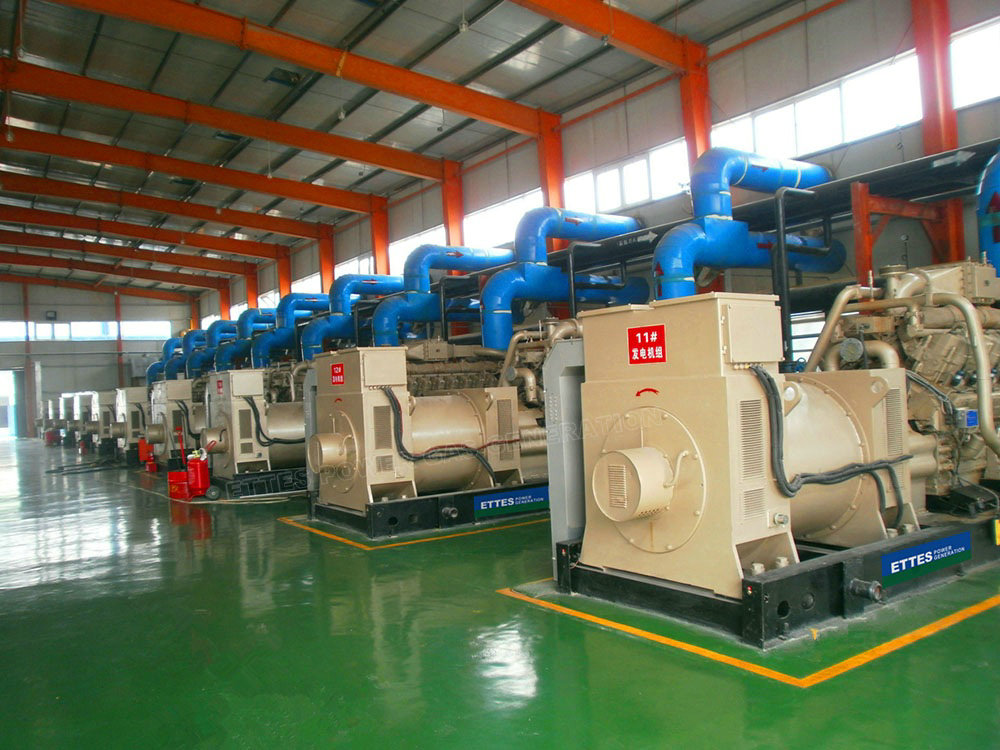 CNPC Series Biogas Generators